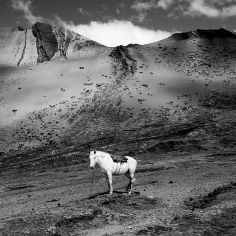 The White Horse The White Horse